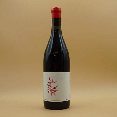 Arnot-Roberts, Carmel Valley 'Fox Creek' Pinot Noir 2022