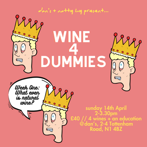Wine 4 Dummies: Week One - What Even is Natural Wine?